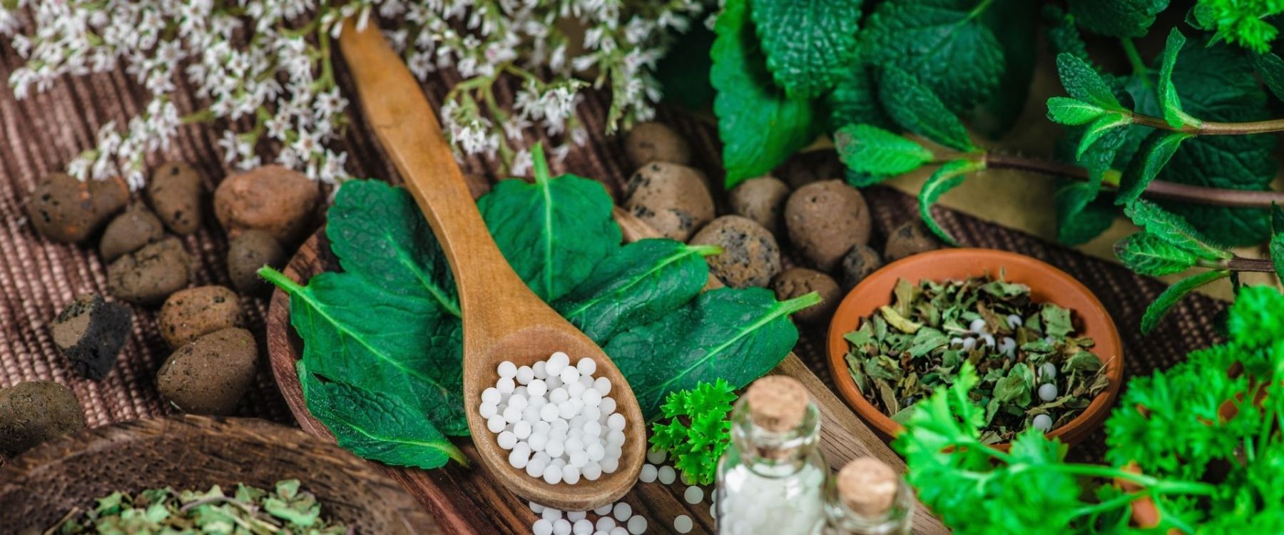 Homeopathie Assen In Balanz
